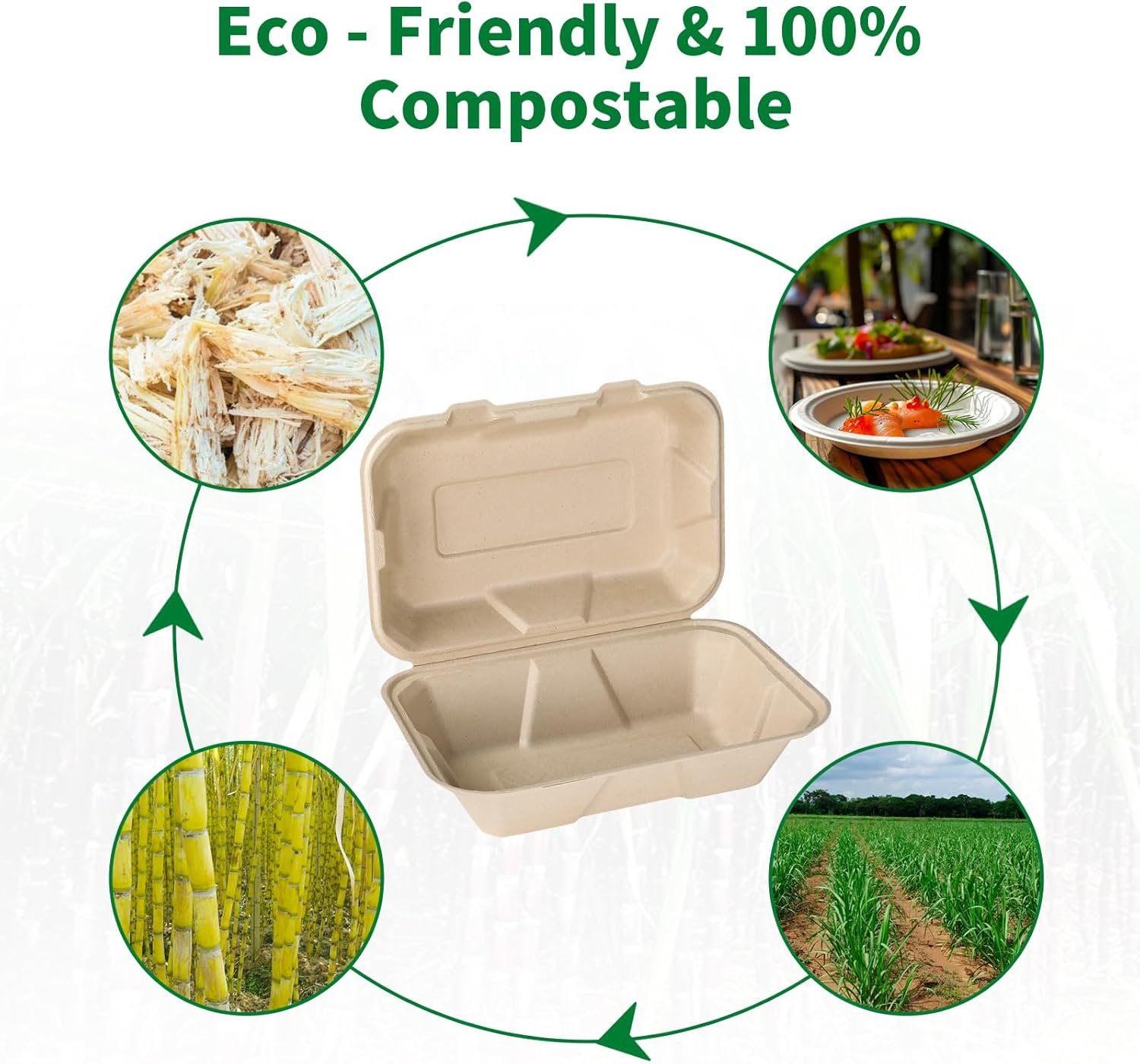 Logo Personalizzato Contenitori Pranzo Asporto a Conchiglia 23x15 cm con Coperchio Confezione 50 dal Produttore Compostabili Biodegradabili Bagassa Eco-Friendly Senza PFAS Marrone Marchio Bianco