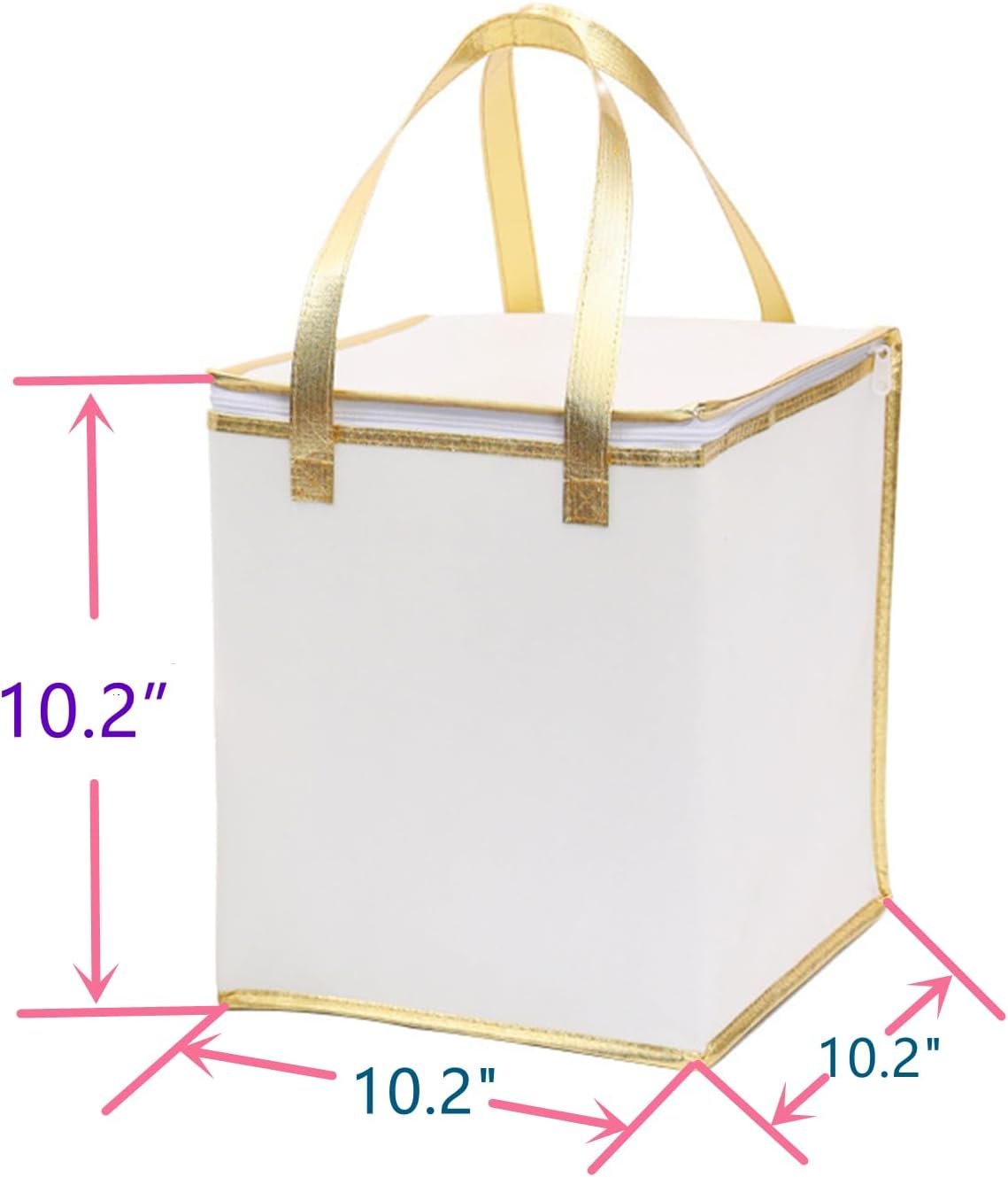Marchio Bianco 2 Pezzi Borse Termiche Isolanti Riutilizzabili con Cerniera in Foglio Alluminio 26x26x26 cm per Picnic Torte Frutta Bevande e Consegna Takeaway Pizza con Logo Personalizzato dal Produttore