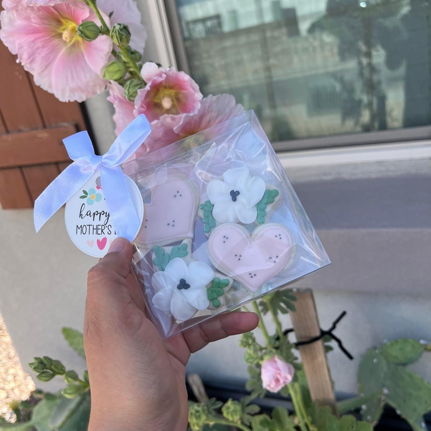 Produttore Confezione da 50 Scatole Trasparenti 10x10x3 cm per Biscotto Singolo con Finestra Completa in Plastica per Macaron Donut Dessert Feste Natale San Valentino con Logo Personalizzato Marchio Bianco