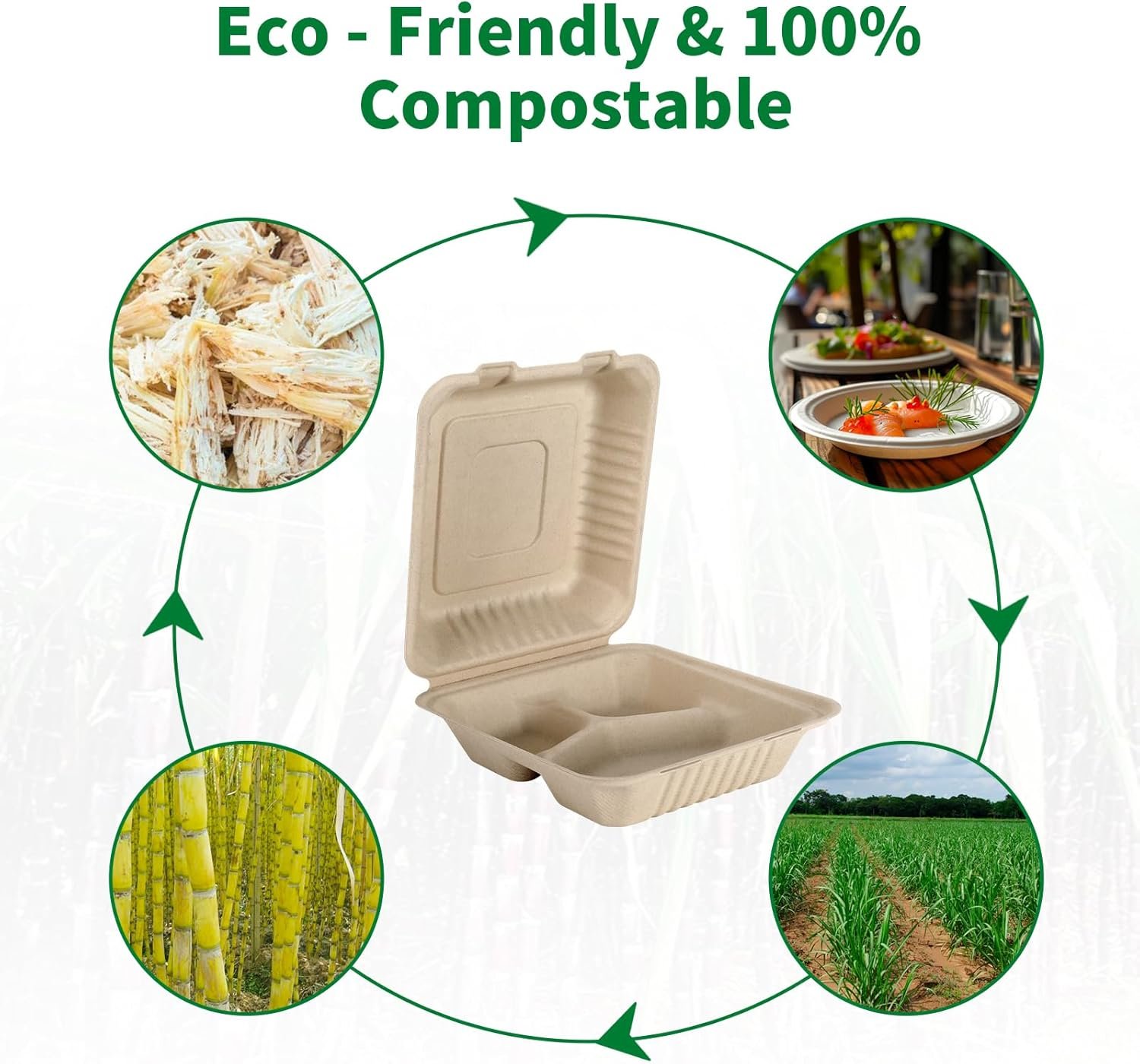 Marchio Bianco Confezione da 50 Box Pranzo Asporto 3 Scomparti 8x9 Pollici Compostabili con Coperchio Clamshell con Logo Personalizzato Monouso Biodegradabili in Bagassa Senza PFAS Marrone dal Produttore