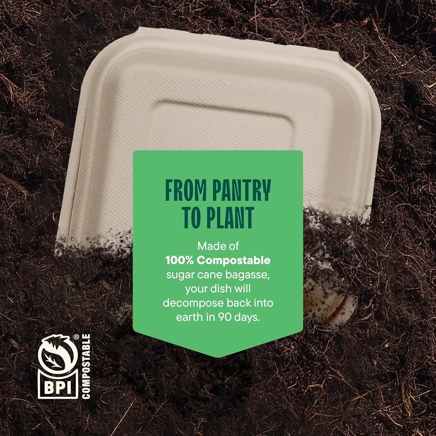 Logo Personalizzato Contenitori a Guscio 100% Compostabili per Alimenti da Asporto [6x6