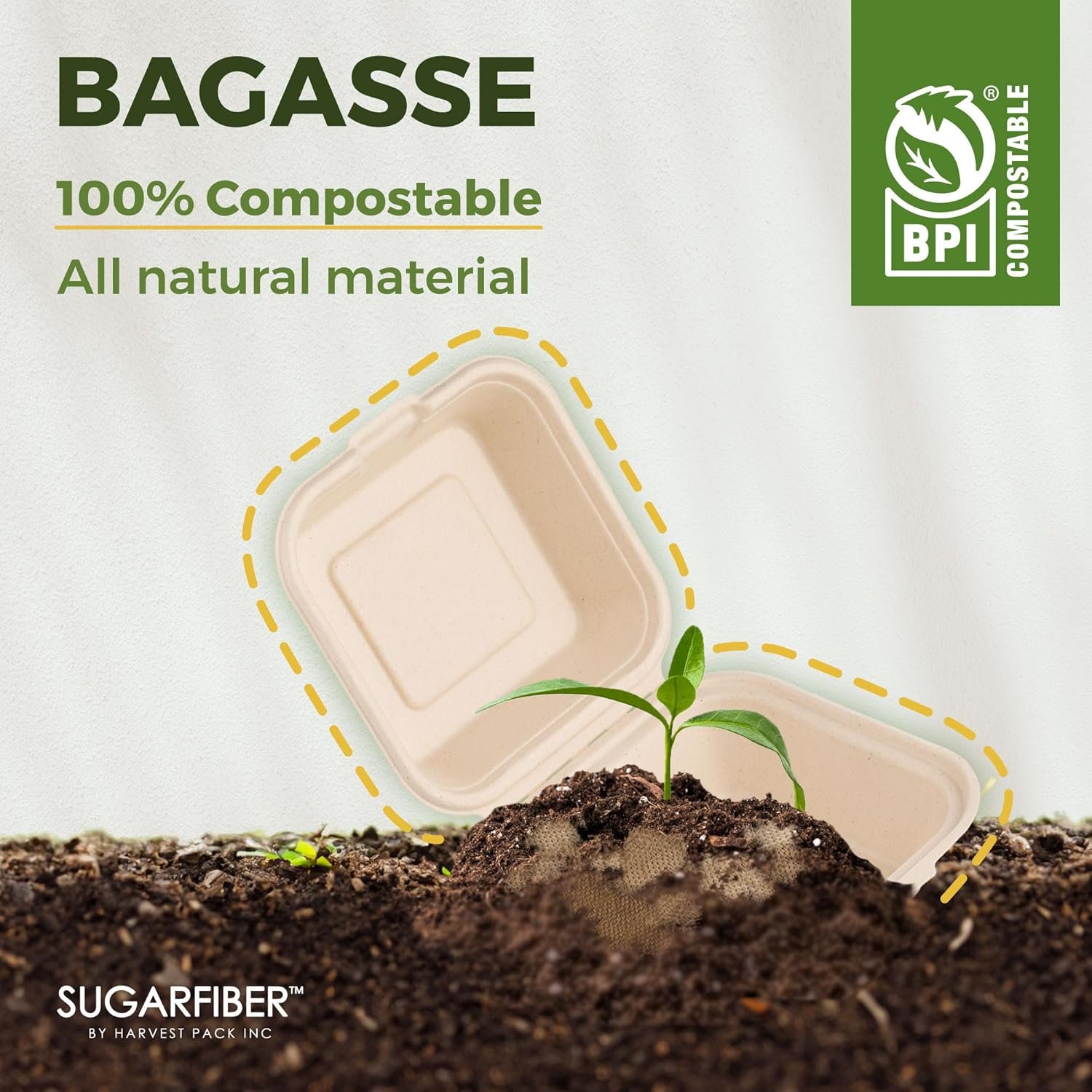 Marchio Bianco Contenitori a Guscio Compostabili 9 x 6
