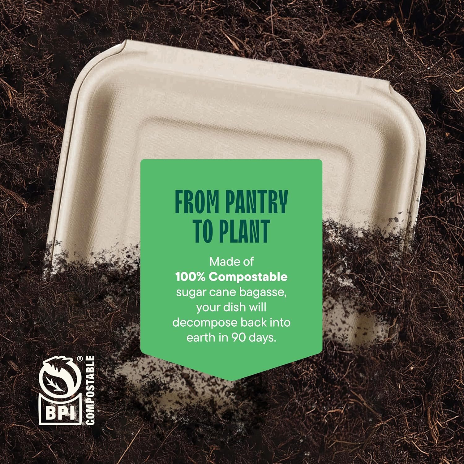 Logo Personalizzato Contenitori a Guscio per Cibo da Asporto 100% Compostabili [8x8