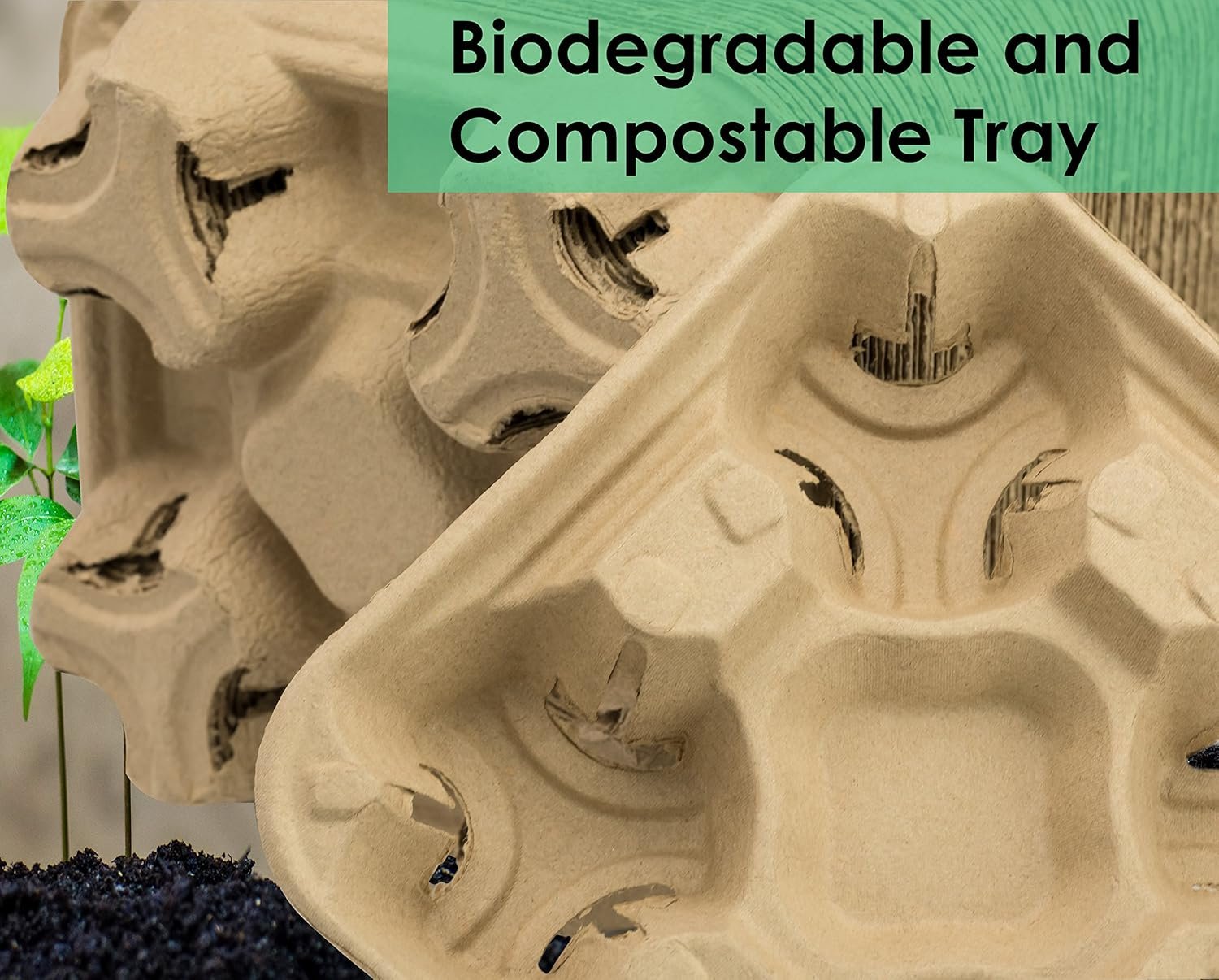 Logo Personalizzato Portatazza Premium Biodegradabile per 4 Bicchieri Confezione da 25 Marchio Bianco Vassoio Compostabile Fibra Polpa per Bevande Calde Fredde Impilabile Anti-Sversamento Fornitore Logo Personalizzato Portatazza Premium Biodegradabile per 4 Bicchieri Confezione da 25 Marchio Bianco Vassoio Compostabile Fibra Polpa per Bevande Calde Fredde Impilabile Anti-Sversamento Fornitore